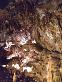 photo 1613155