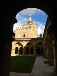 photo 1617537
