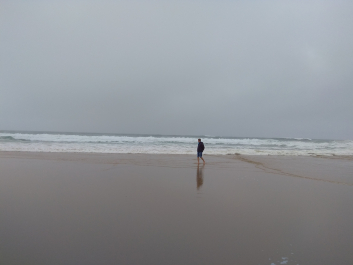 photo 1617576