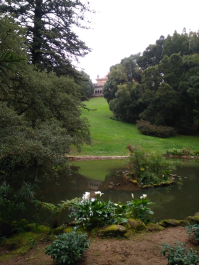 photo 1617606