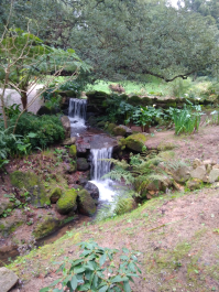 photo 1617607
