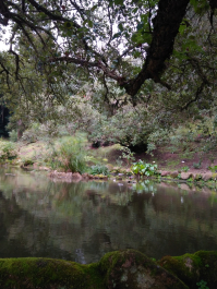 photo 1617608