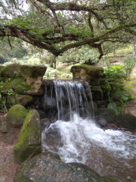 photo 1617609