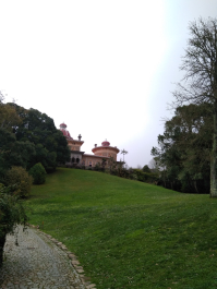 photo 1617610
