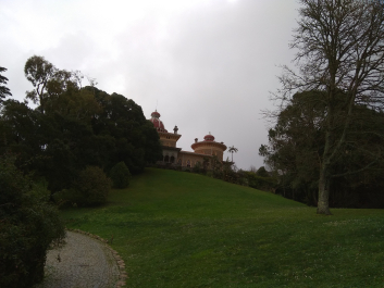 photo 1617611