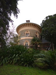 photo 1617614