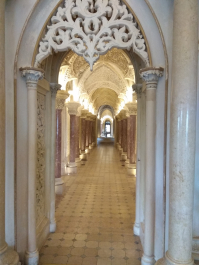 photo 1617623