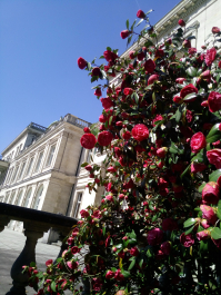 photo 1291630