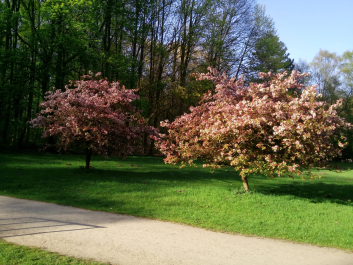 photo 1291687