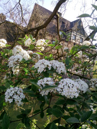 photo 1291690