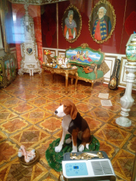 photo 1299172