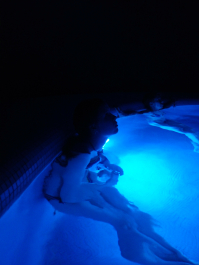 photo 1299668