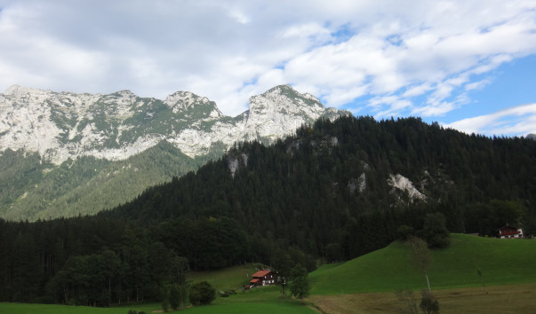 DSC00910