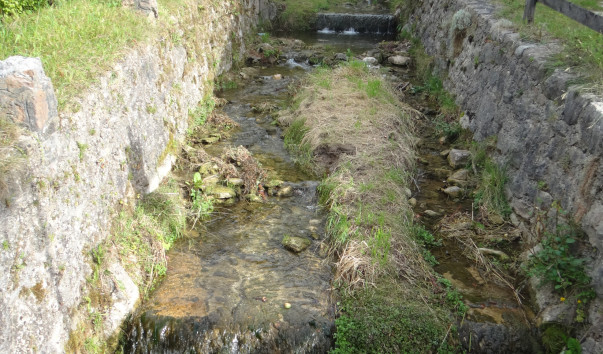 DSC00904