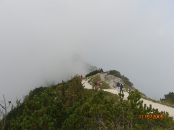 photo 1303240