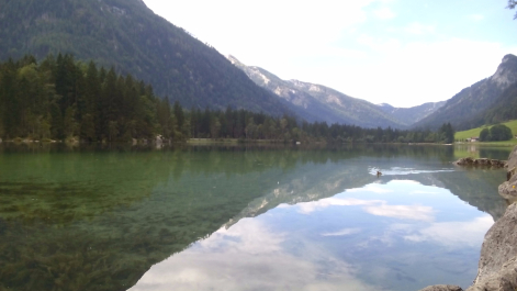 photo 1304491