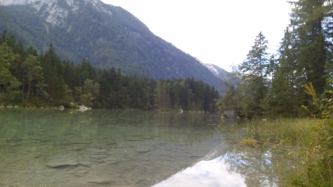 photo 1304495