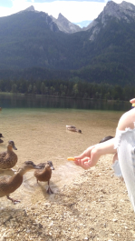 photo 1304497