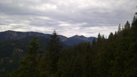 photo 1304560