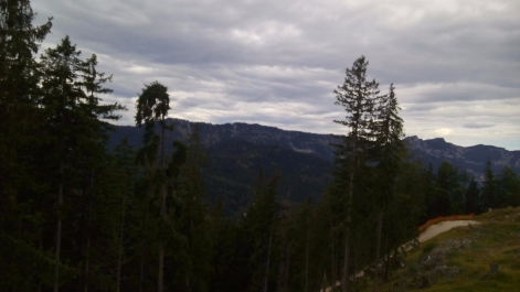 photo 1304562