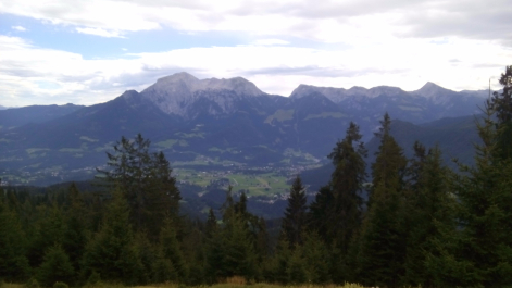 photo 1304564