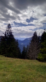 photo 1304565