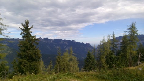 photo 1304569