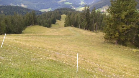 photo 1304576