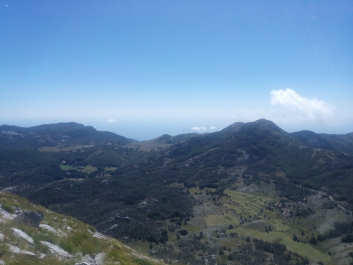 photo 1308676