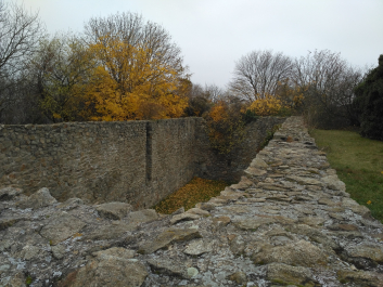 photo 1414866