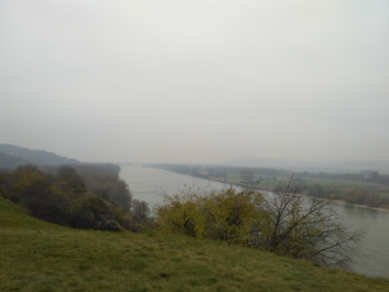 photo 1414868