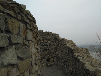photo 1414871