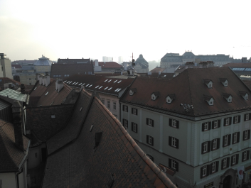photo 1415002