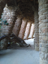photo 1441546