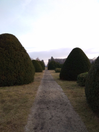 photo 1599392