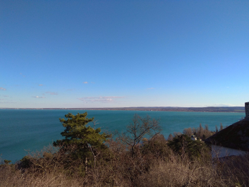 photo 1599437