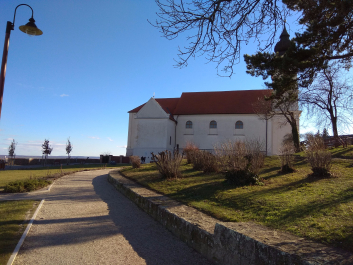 photo 1599444