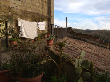 photo 1750025