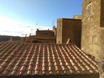 photo 1750057