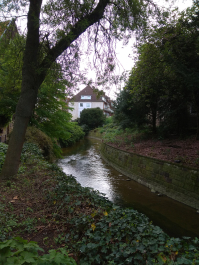 photo 1762036