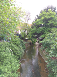 photo 1762040