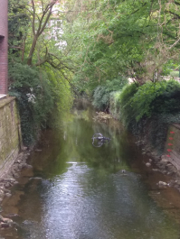 photo 1762053