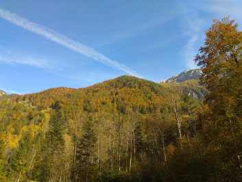 photo 1814776
