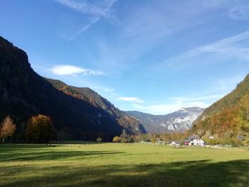photo 1814778