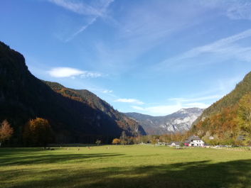 photo 1814779