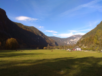 photo 1814781