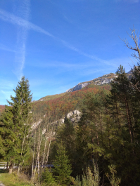photo 1814782