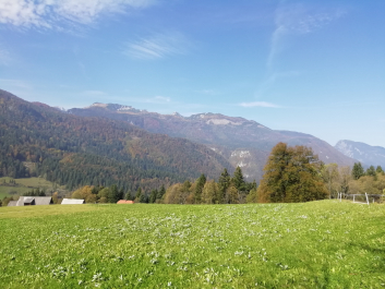 photo 1814784