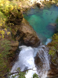 photo 1814785