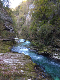 photo 1814789